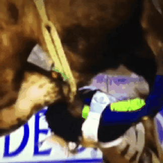 152267622547581.gif