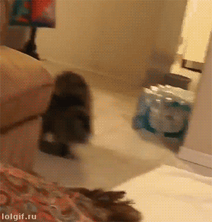 152271381558661.gif