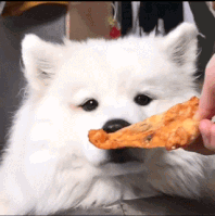 152271701296097.gif