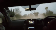 152604172260950.gif