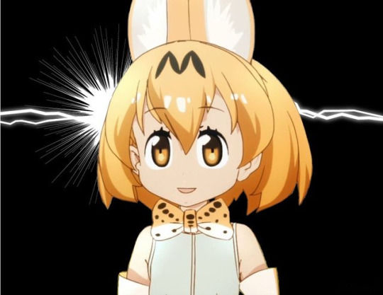 152606083541209.jpg