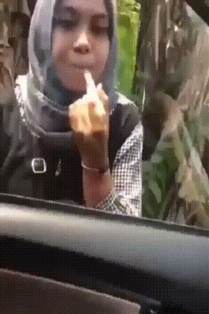 152606084324428.gif