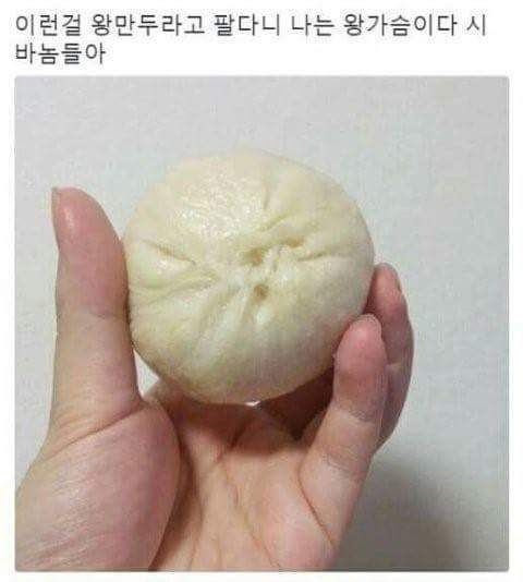 152608869826488.jpg