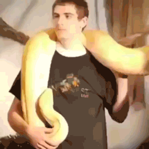 152630228438626.gif