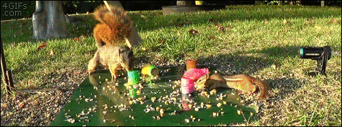 152653885058029.gif