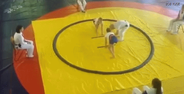 152654123858384.gif