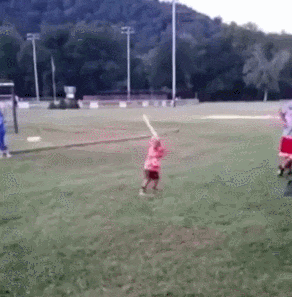 152742772781305.gif