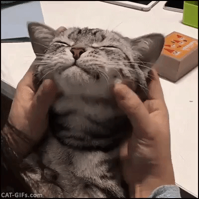 152742801858533.gif