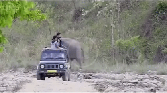 152743163489823.gif