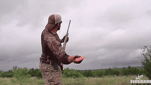 152791383547130.gif
