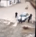 152791612841574.gif
