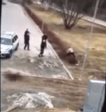 152791623869129.gif