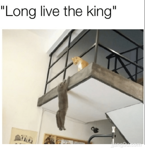 152791925596748.png