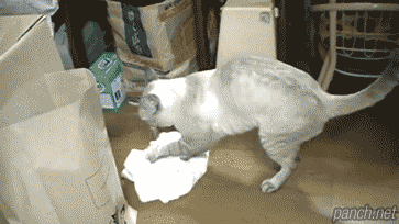 152791982368044.gif
