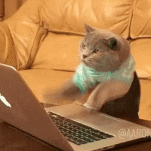 152791982462715.gif