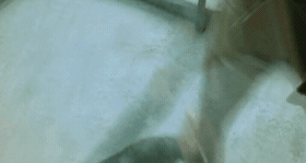 152802306769056.gif