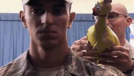 152852913916769.GIF