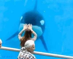 152925448947484.gif