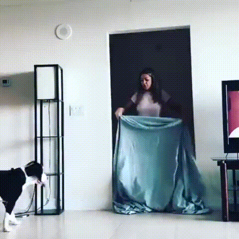 153019364324814.gif