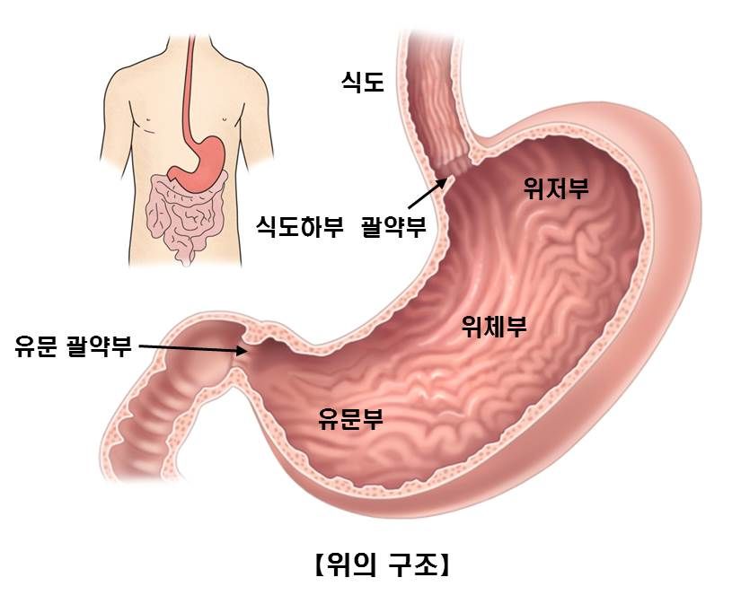 153043103779964.jpg