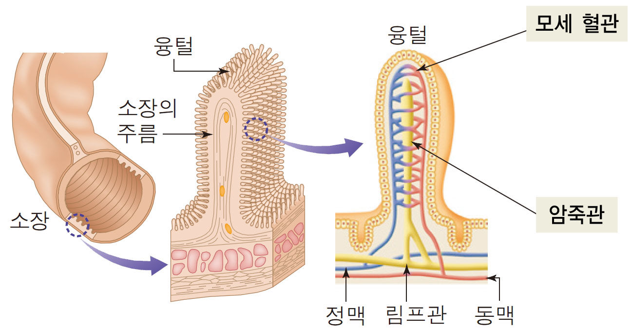 153043173846067.jpg