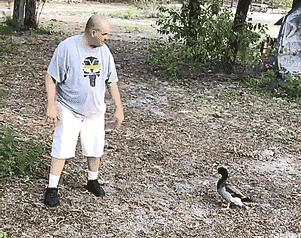 153044396222789.gif