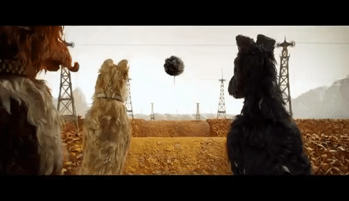 153079874430037.gif