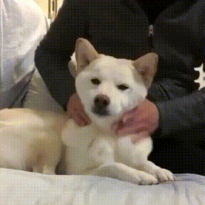 153079928758949.gif