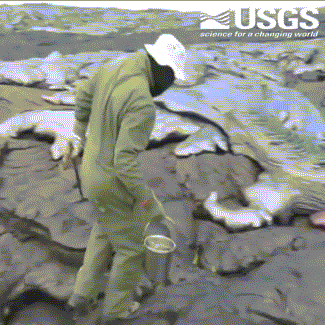 153079950679585.gif