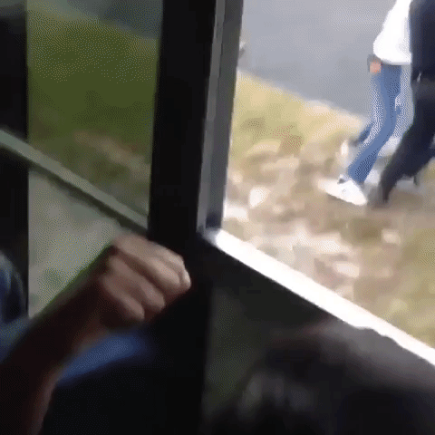 153080520564124.gif