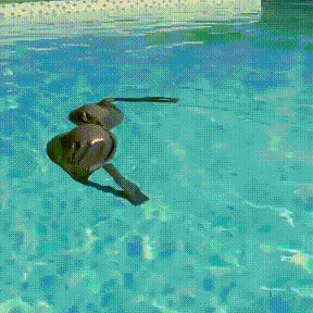 153095703250294.gif