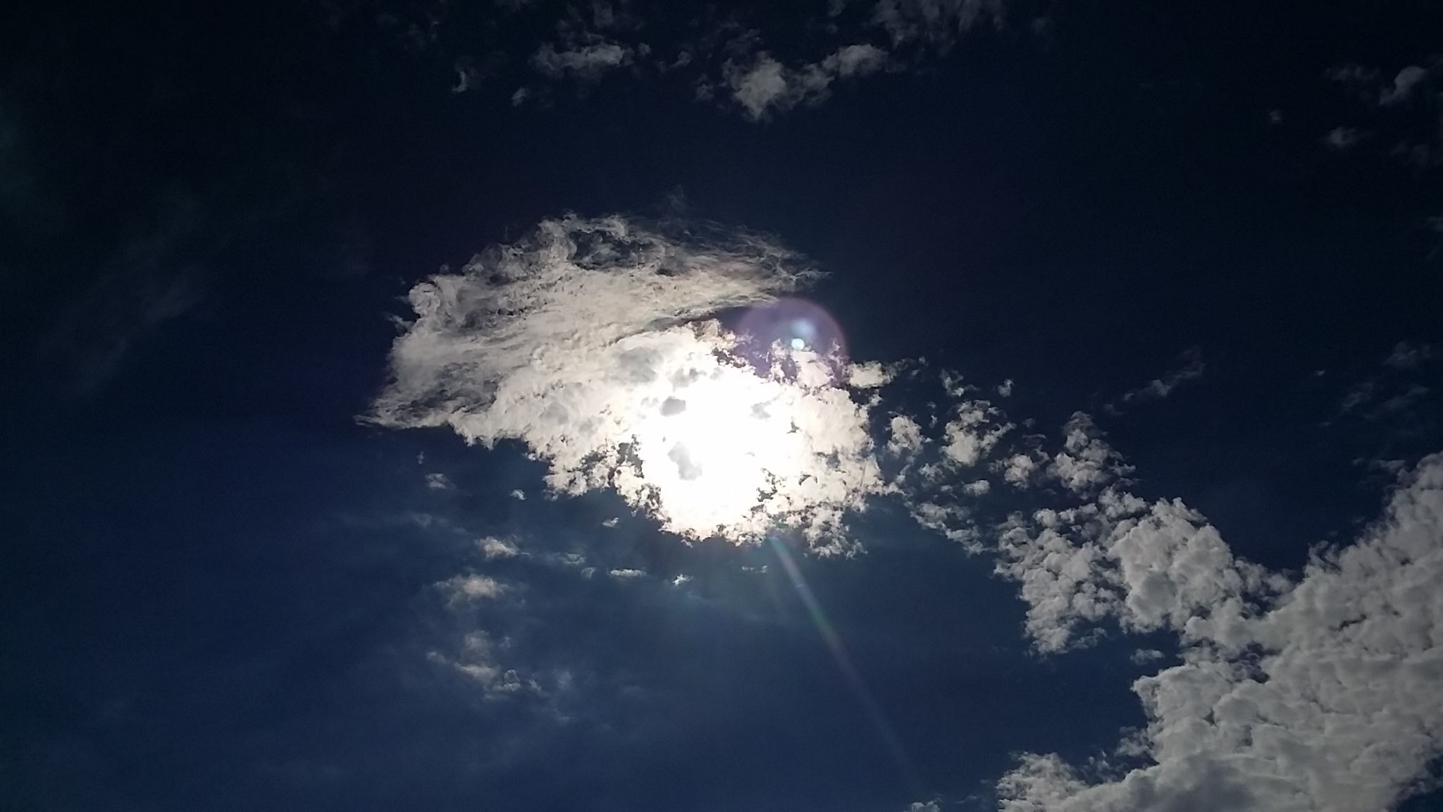 153095980161961.jpg