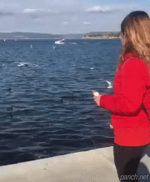 153096110316290.gif