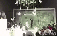 153096740567017.gif