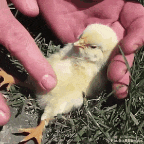 153096776251111.gif