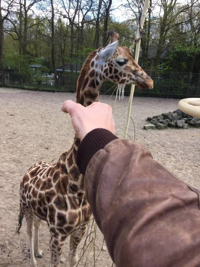 153097195015727.jpg