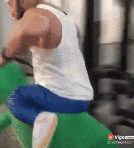 153102023485396.gif