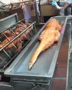 153102416261577.gif