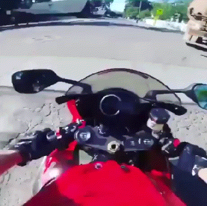 153158466254164.gif