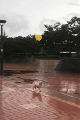 153162400983200.gif