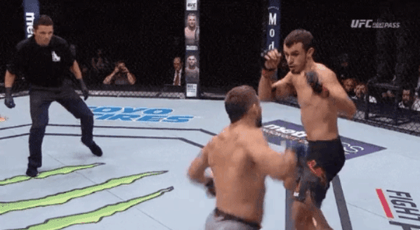 153163883146555.gif