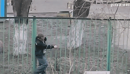 153164917286039.gif