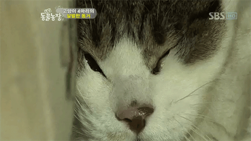 153164953074709.gif