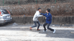153165526045578.gif