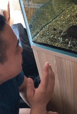 153287706252675.gif