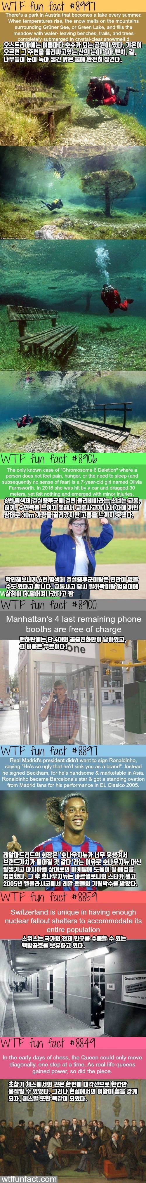153343850146654.jpg