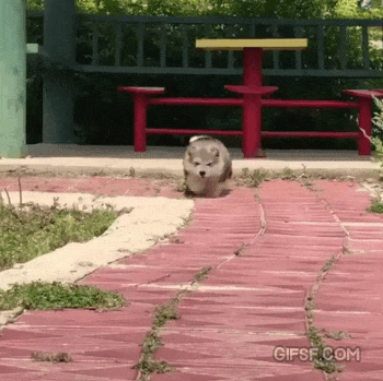 153344467813714.gif