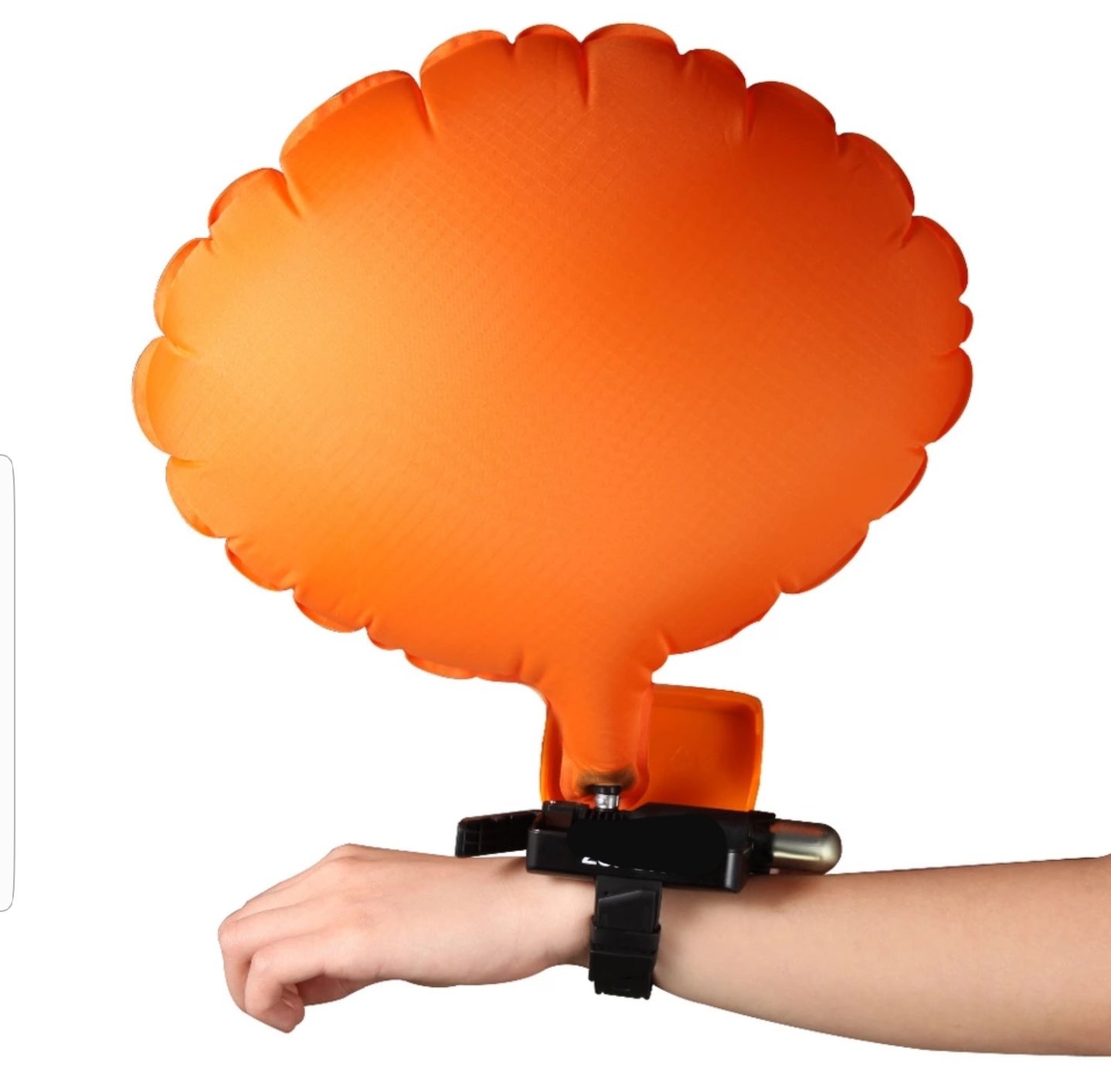 153345532722194.jpg