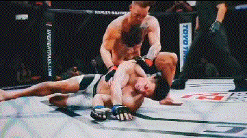153356634898754.gif