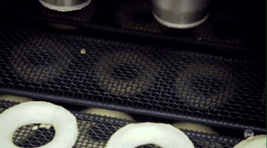 153359837475572.gif